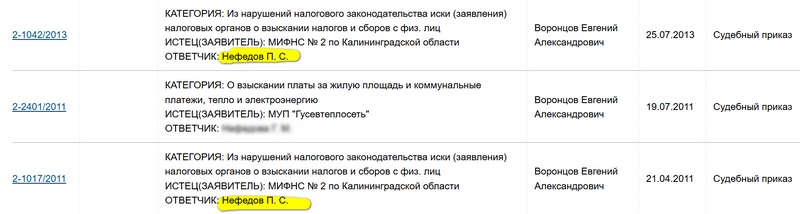 нефедов участок 2 ФНС.jpg
