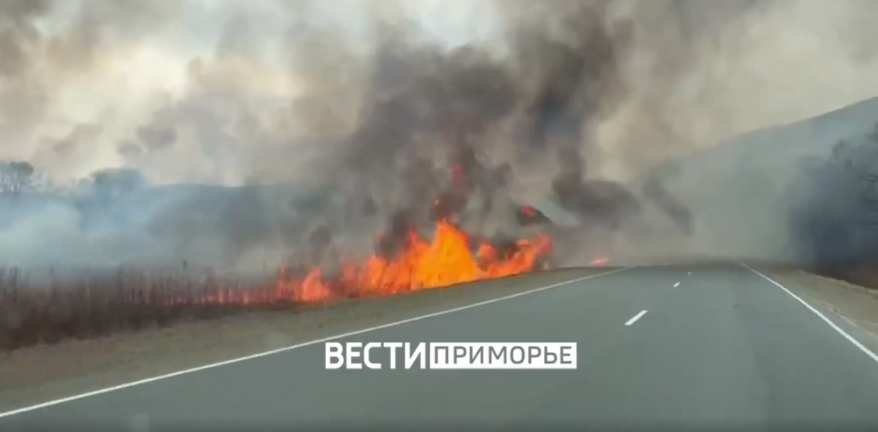 Ландшафтный пожар подошел вплотную к трассе Находка-Владивосток