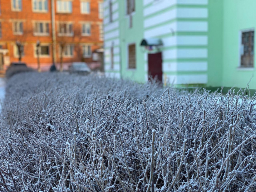 Low snow. Малоснежная зима. Крупный снег. Холодная малоснежная зима.