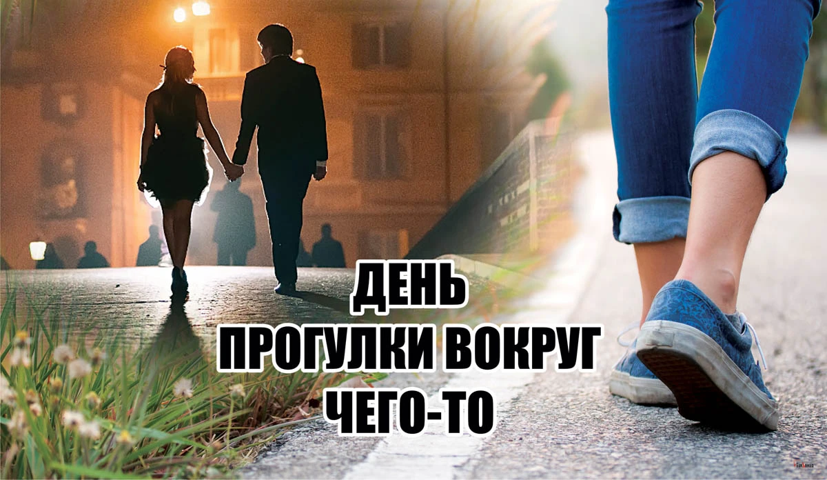 Прогулка по парку с собакой. Международный день прогулки 19 июня. Женщина с собакой на прогулке. Прогуляйтесь вокруг в поисках подсказок. Скандинавская ходьба в лесу.