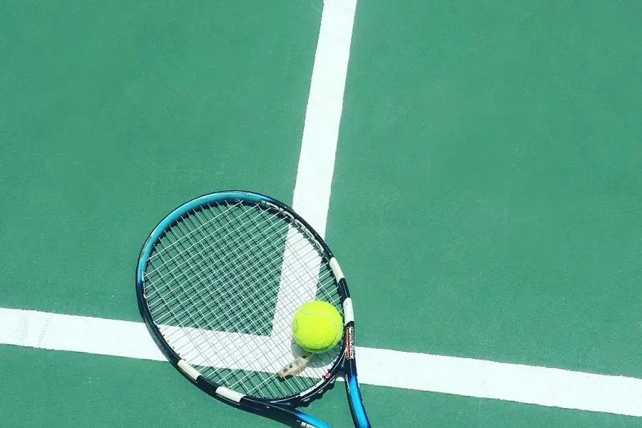 Новая битва «Львов» и «Сфинксов». В Петербурге состоится турнир «Трофеи Северной Пальмиры» | ФОТО Guilherme Maggieri on Unsplash