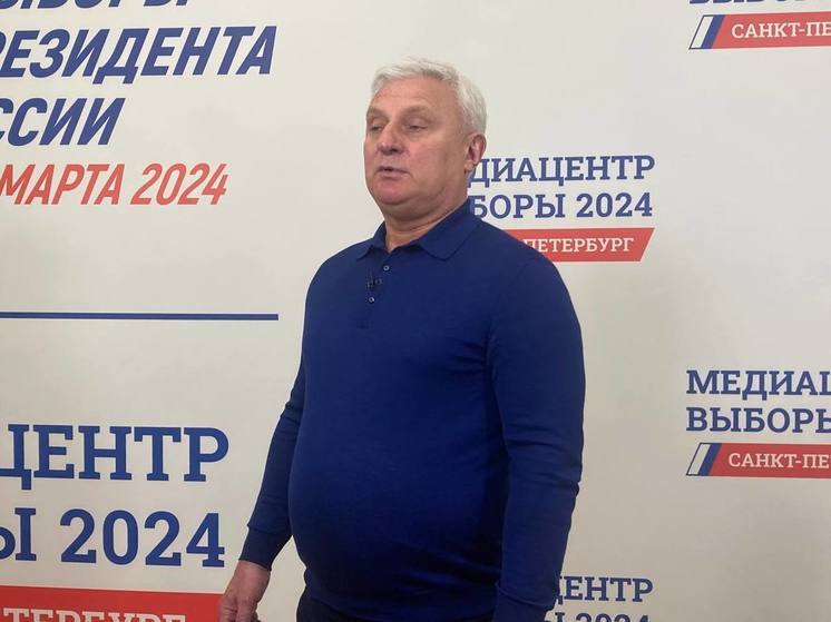 Депутат Гарнец поделился своими впечатлениями о выборах в Петербурге