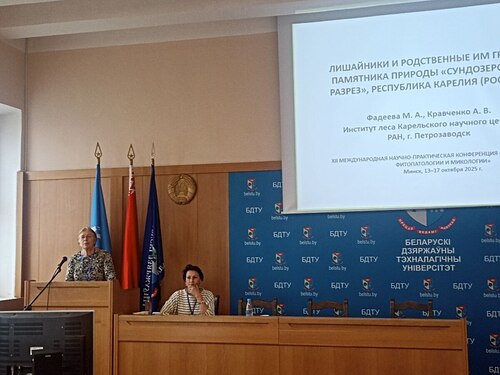 Доклад о лишайниках Сундозерского разреза представила главный биолог лаборатории ландшафтной экологии и охраны лесных экосистем Института леса КарНЦ РАН Маргарита Фадеева