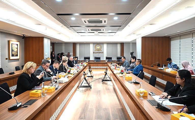 Сенаторы провели переговоры с Равиндрой Аирлангой и председателем Группы дружбы Совета народных представителей Индонезии с нижней палатой российского парламента Вихади Виджаянто