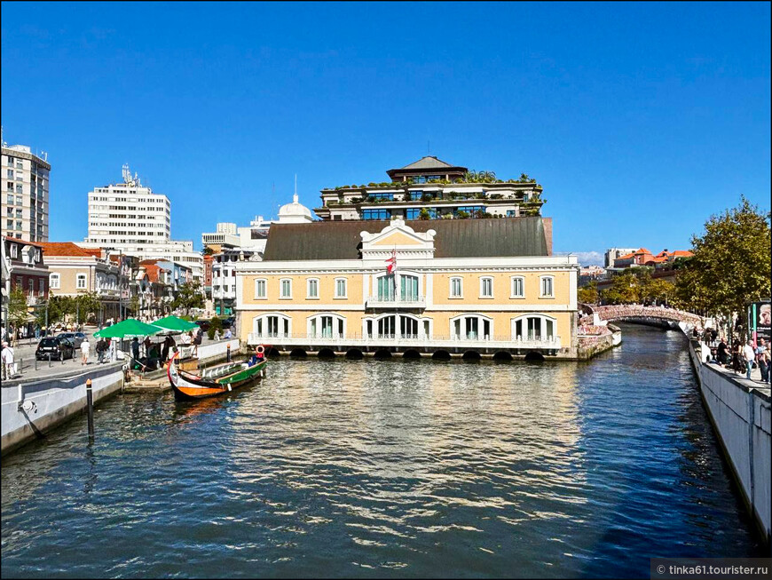 Европейский Девичник. Куда податься из Порту