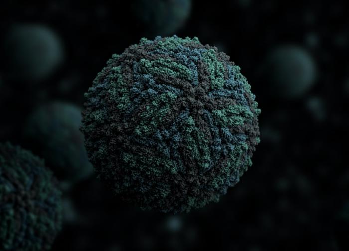 Ученые разработали новый тип РНК-вакцины, защищающий от всех штаммов вируса