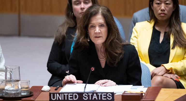 Исполняющая обязанности постпреда США при ООН Дороти Ши.