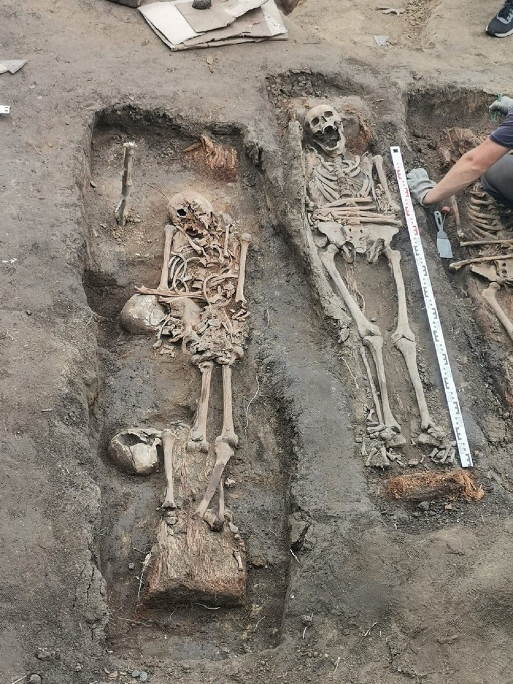 Археологи хотят выполнить реконструкцию лица по черепу.