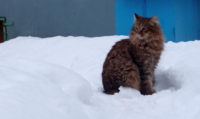 От весны Кострому отделяет лишь пара холодных ночей