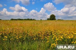 В день Митрофана Навозника было принято не лениться и работать как можно дольше