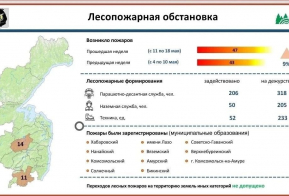 За неделю в Хабаровском крае потушили 43 лесных и 207 ландшафтных пожаров