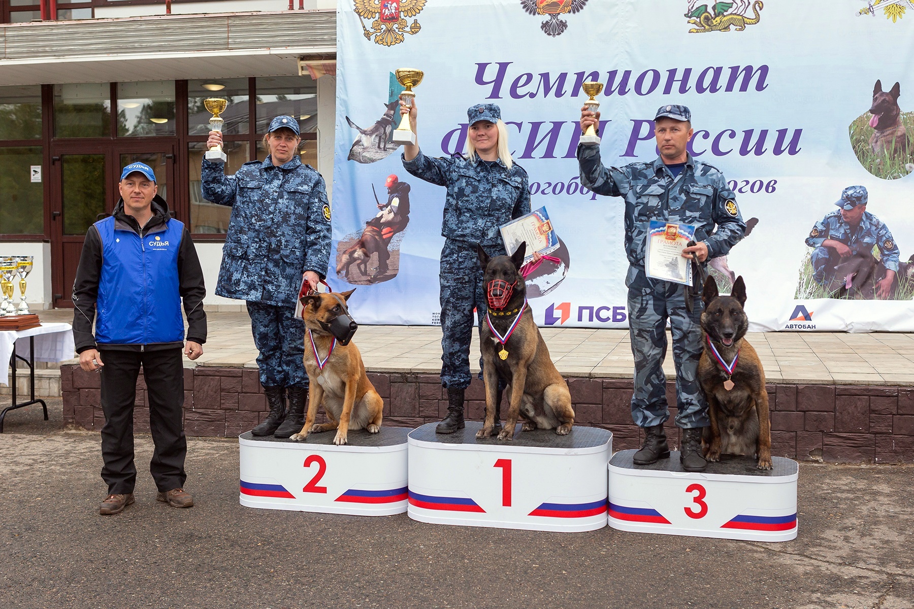 Овчарка и кинолог рисунок