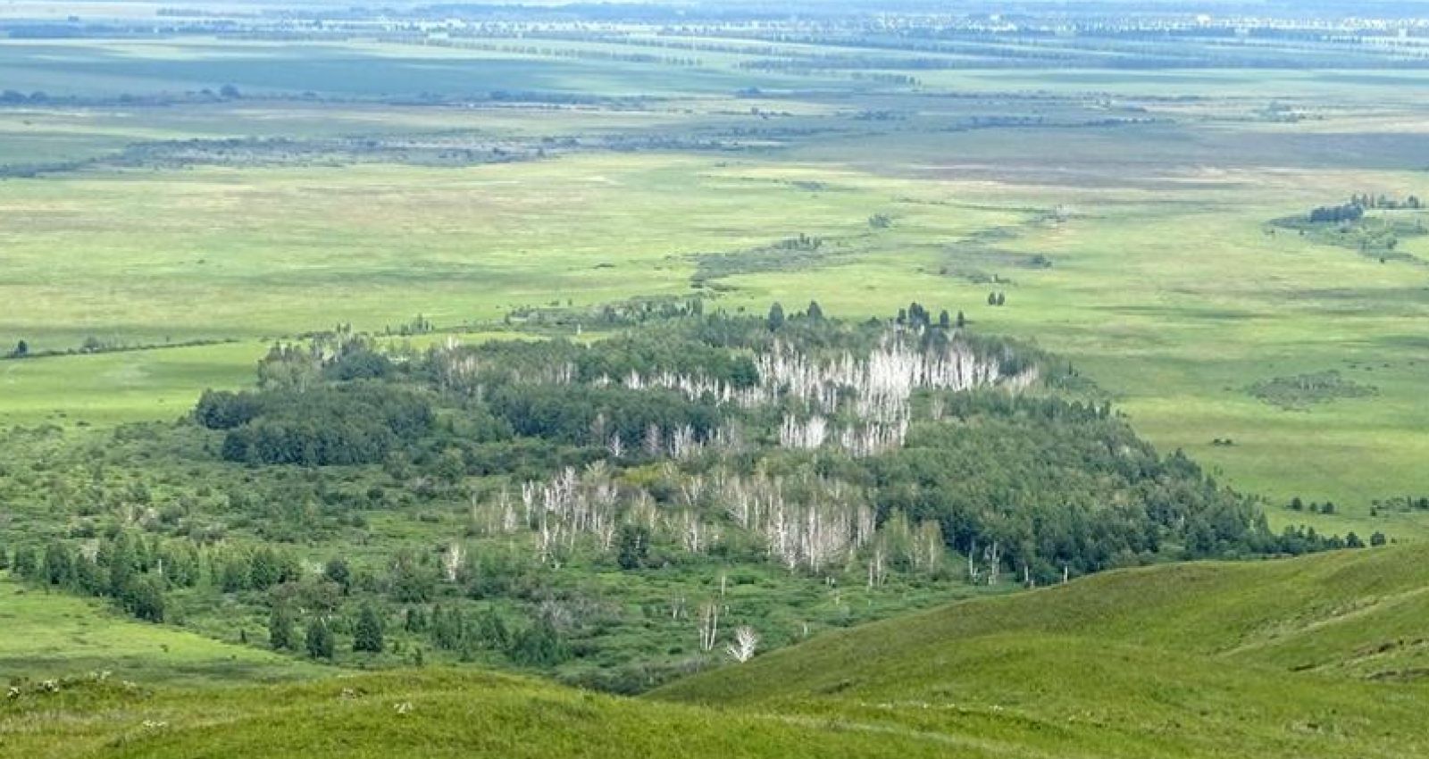 Алтайский край памятники природы. Ельцовка Алтайский край. Село Березово Алтайский край.