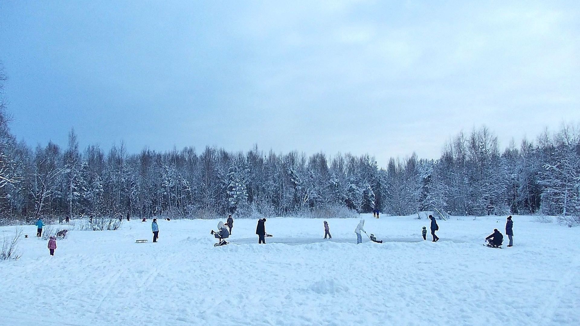 парк сосновка в санкт петербурге зимой