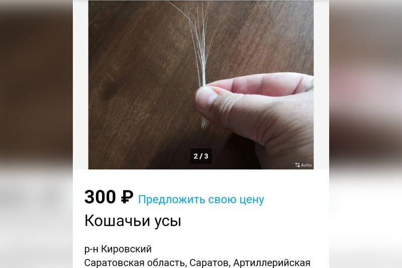 продажа кошачьих усов. кошачий ус в кошельке. сколько стоят усы кота. продам усы. усы кота в поделках.