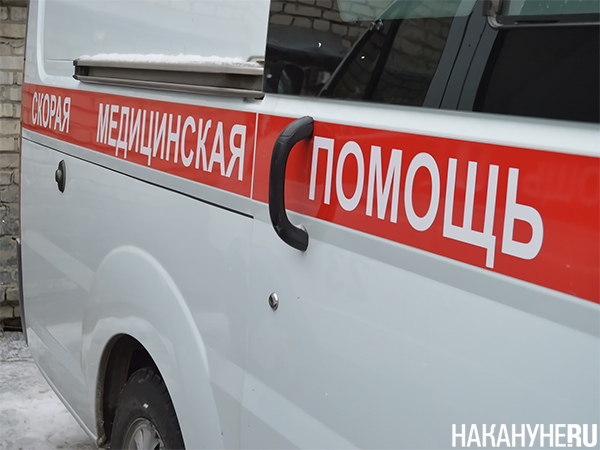 Фото: Накануне.RU