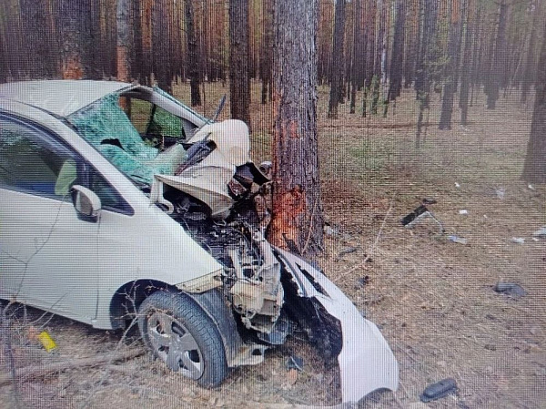 В Забайкалье «Тойота Рактис» вылетела с дороги и врезалась в дерево