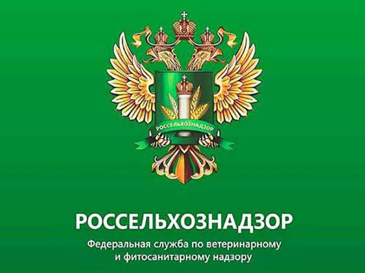 Серпуховичам рассказывают о карантинной фитосанитарной безопасности