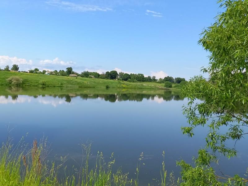 В Белгородской области приостановили очистку водоемов