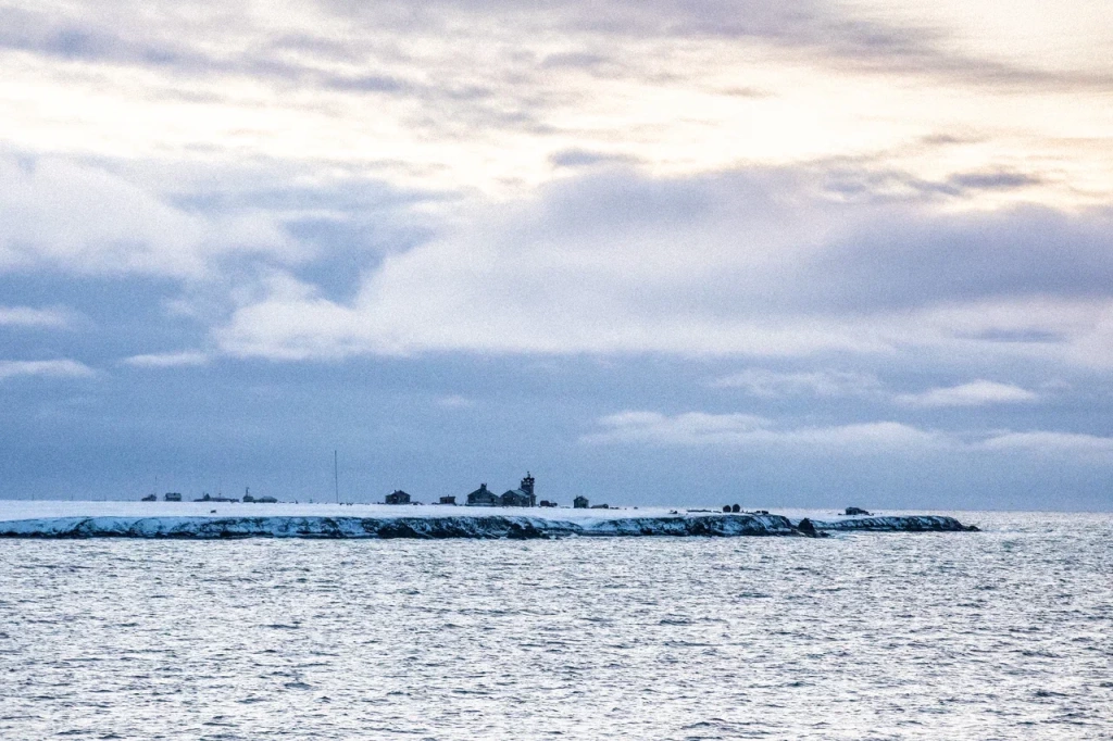 Рассылка «ПОРА в Арктику! GoArctic!» – выпуск от 24 ноября 2025 года