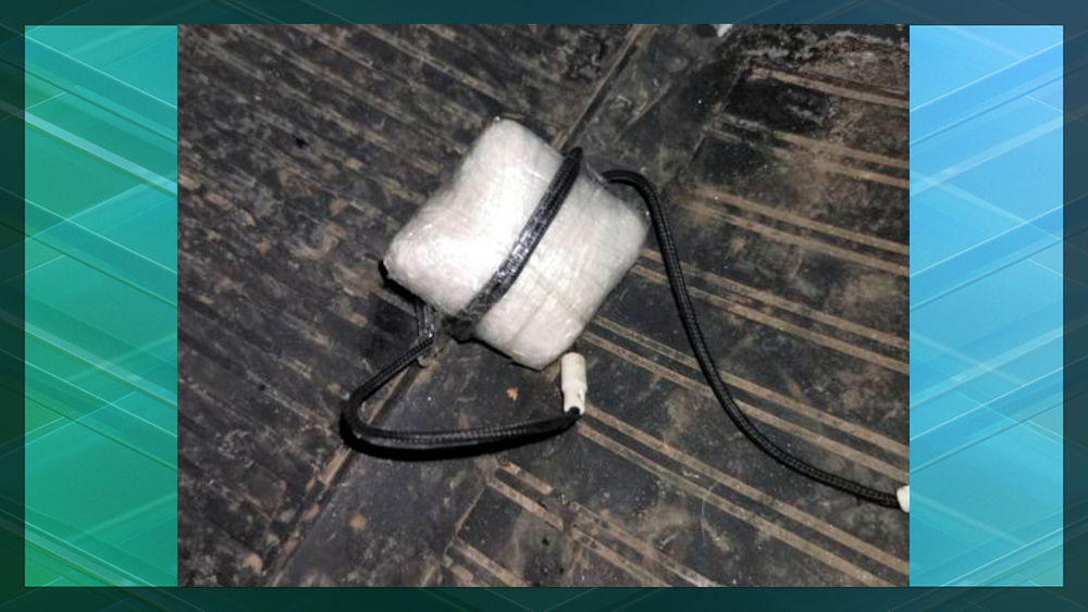 Брянские таможенники задержали перевозившего наркотики иностранца