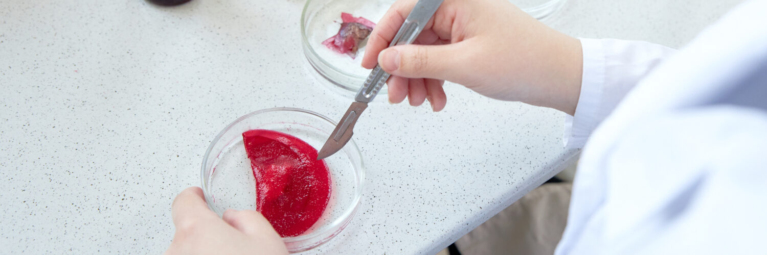 Ученые разработали продуктов. Биологическая лаборатория. Съедобная упаковка для пищевых продуктов. Ученые разработали продуктов. Наноматериалы в пищевой продукции.