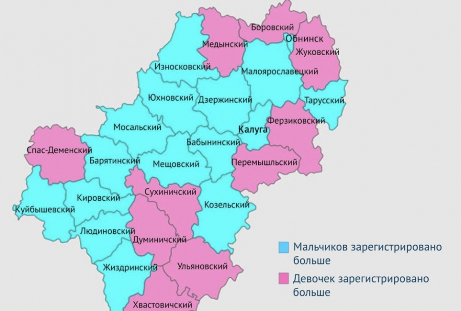 В калужском ЗАГСе наглядно показали, в каких районах области чаще рождаются мальчики, а в каких девочки