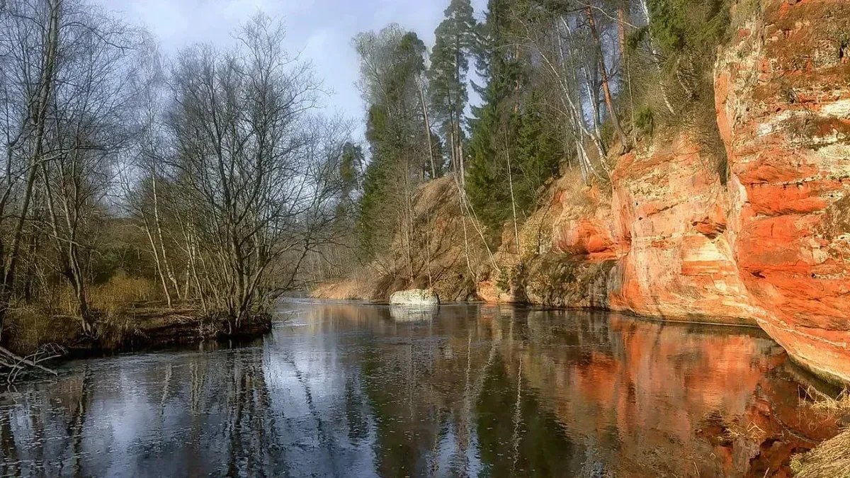 Фото: предоставлено местными жителями