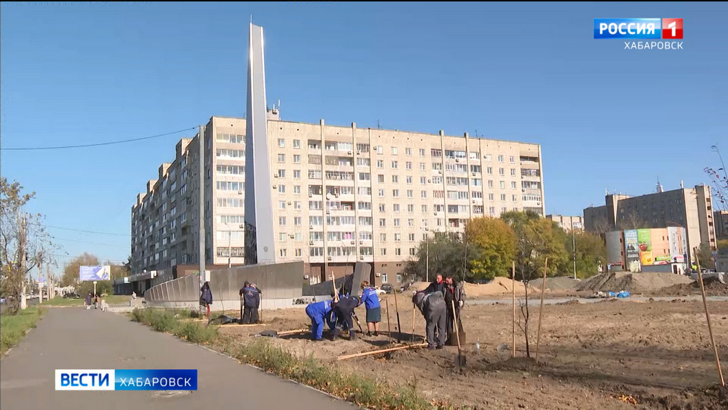 В сквере у стелы «Комсомольск-на-Амуре – город трудовой доблести» началось долгожданное озеленение