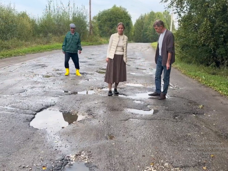 Для ремонта дороги Ильино — Заборское — Наумово нашли подрядчика