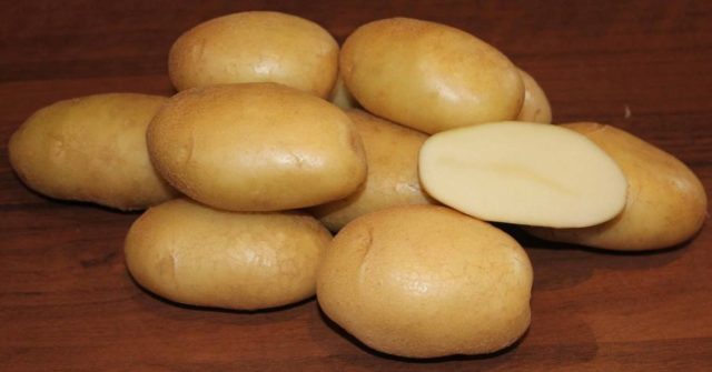 Лучшие сорта картофеля для Южного и Среднего Урала: семенного, новые, отзывы