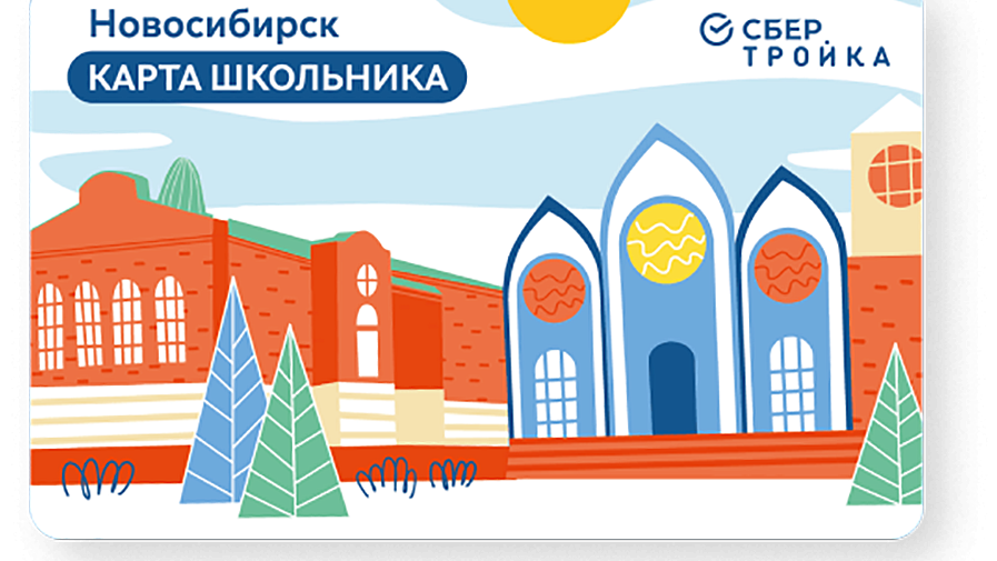 Карта школьника: зачем нужна, как оформить и получить