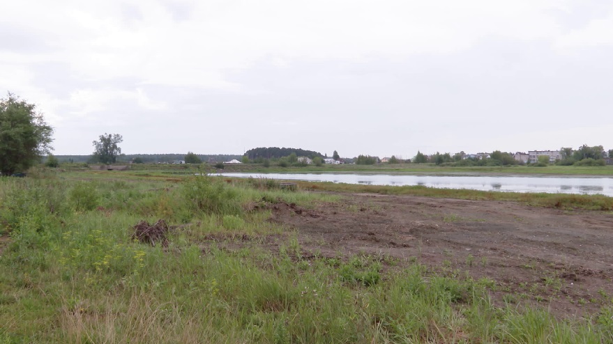 В Сысертском районе практически полностью обмелел Никольский пруд