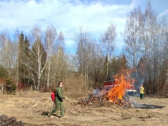 Навыки тушения лесных пожаров отработали 17 сотрудников дмитровских организаций