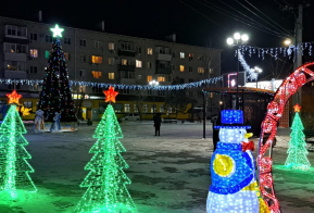 Новогодняя ель села Тополево примет участие во Всероссийском конкурсе 