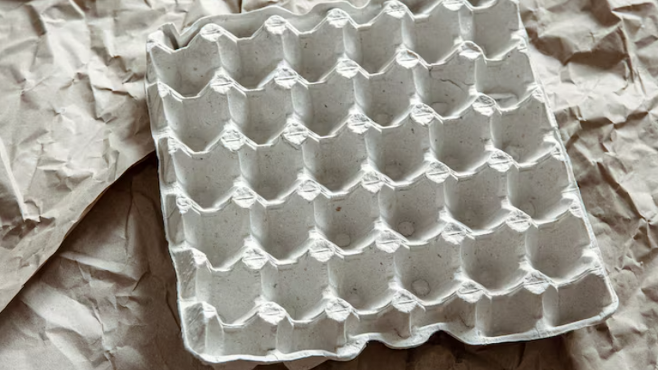 Как использовать картонные лотки от яиц для хра...