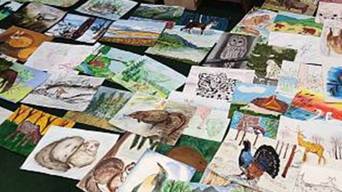 областной конкурс рисунков и фотографий. заповедник кивач рисунок. рисуем заповедную россию. конкурсы заповедников 2024. рисунок на тему мир заповедной природы.