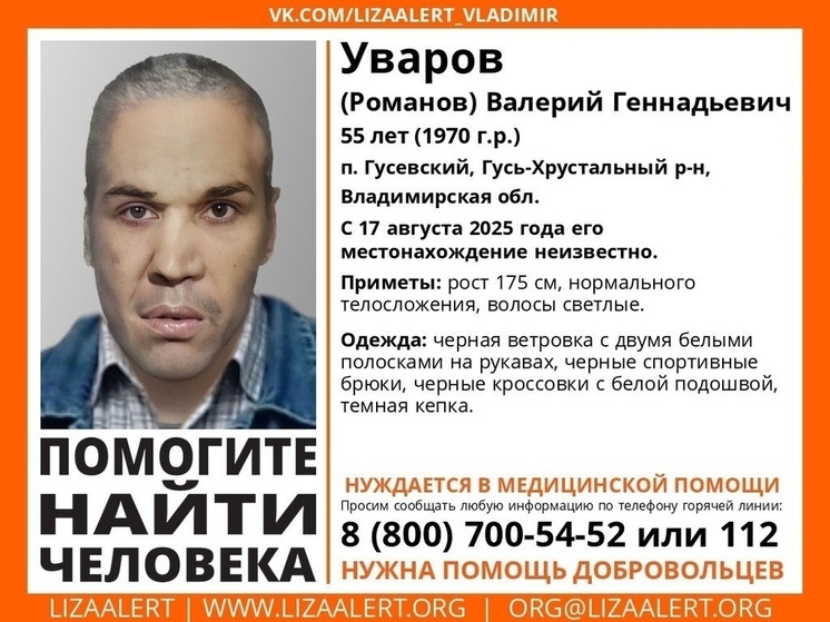 Два месяца добровольцы ищут бесследно исчезнувшего владимирца