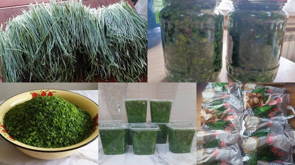 В Якутске в интернете начали продавать полевой лук: цены
