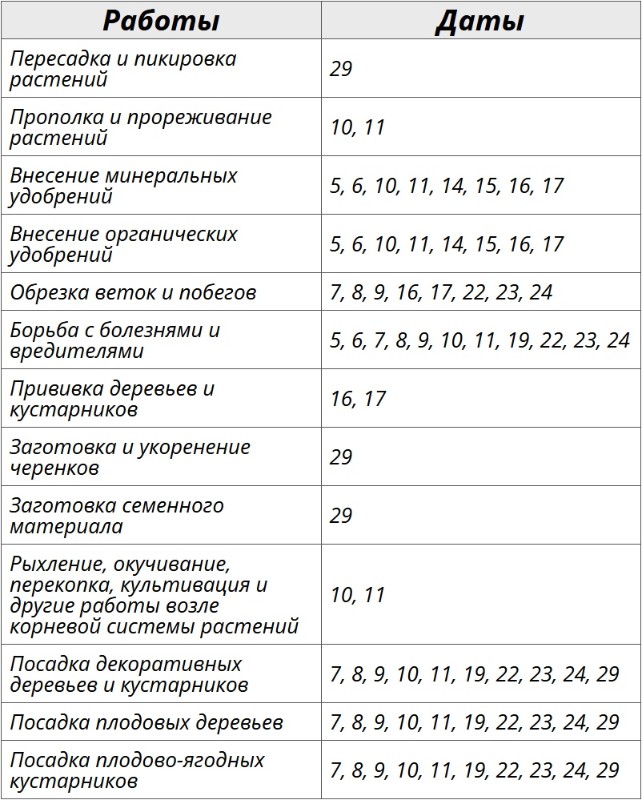 Календарь посадки комнатных растений в августе 2025. Календарь посадки комнатных растений в августе 2025