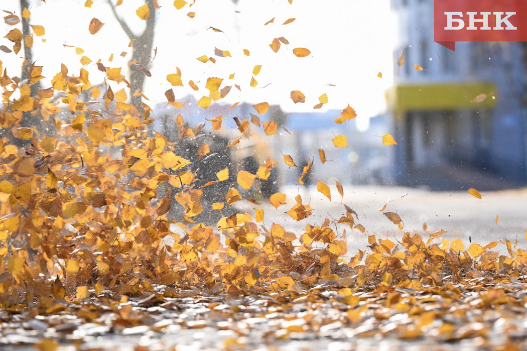 На юге Коми сохранится спокойная погода