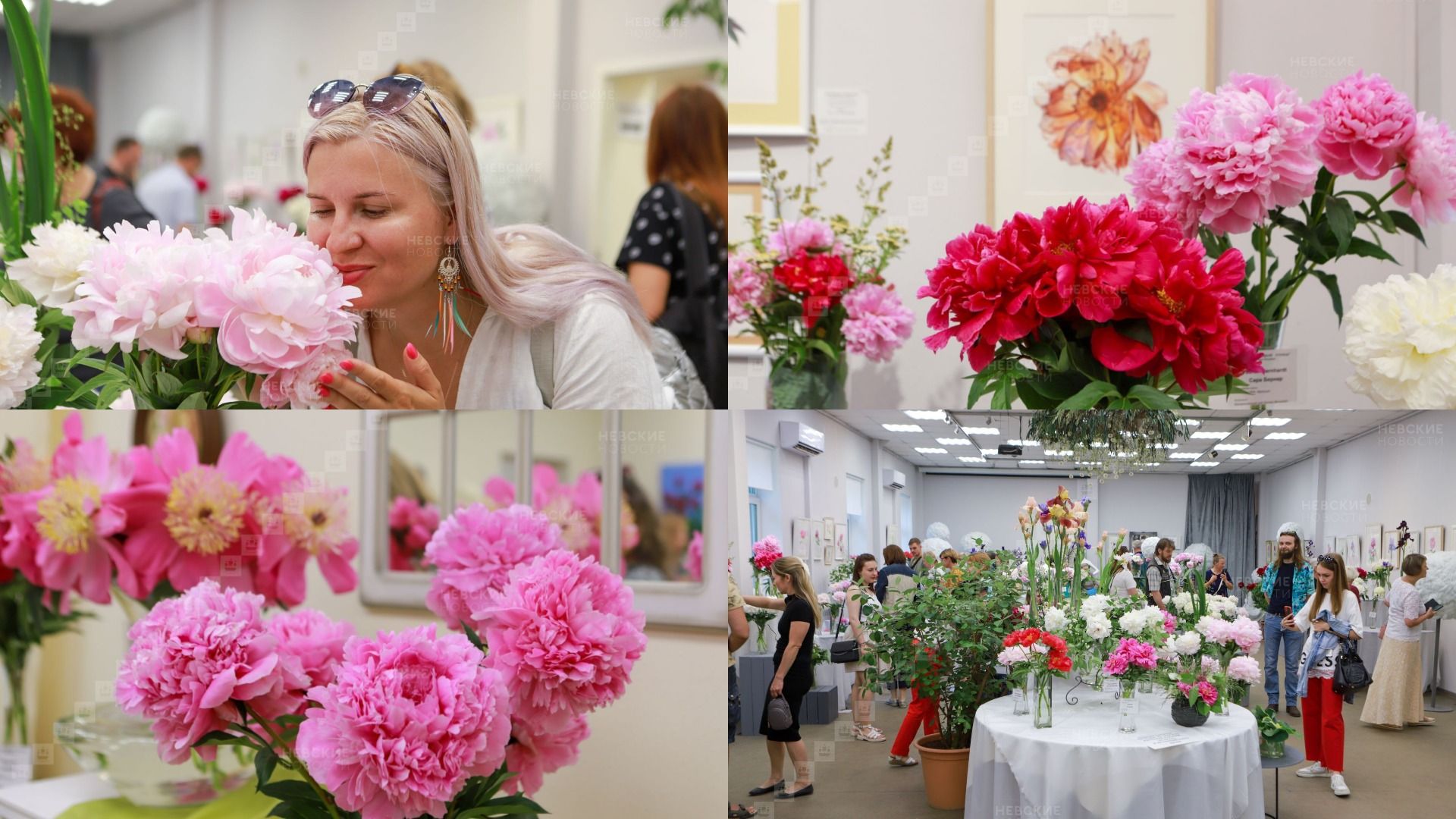 Ботанический сад аптекарский огород москва. Ботанический сад мгу аптекарский выставка тюльпанов. Выставка тюльпанов в ботаническом саду в петербурге. Пионы в ботаническом саду. Академия изящных искусств андрияки.