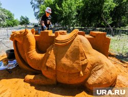 Рукотворный верблюд на фестивале песочной скульптуры в Челябинске
