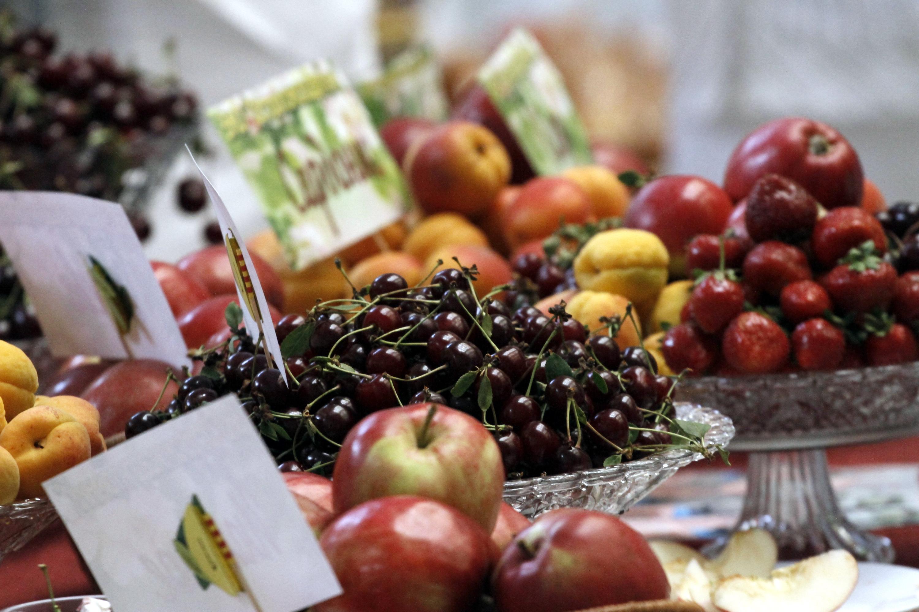 Прилавок с фруктами. Переборщик овощей. Вакансия овощи фрукты. Ккт на рынках. Вакансия овощи фрукты.