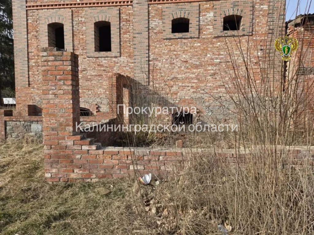 прок2.jpg