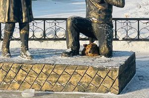 Мэры в Иркутской области помогают животным и следят за чистотой контейнерных площадок - Верблюд в огне