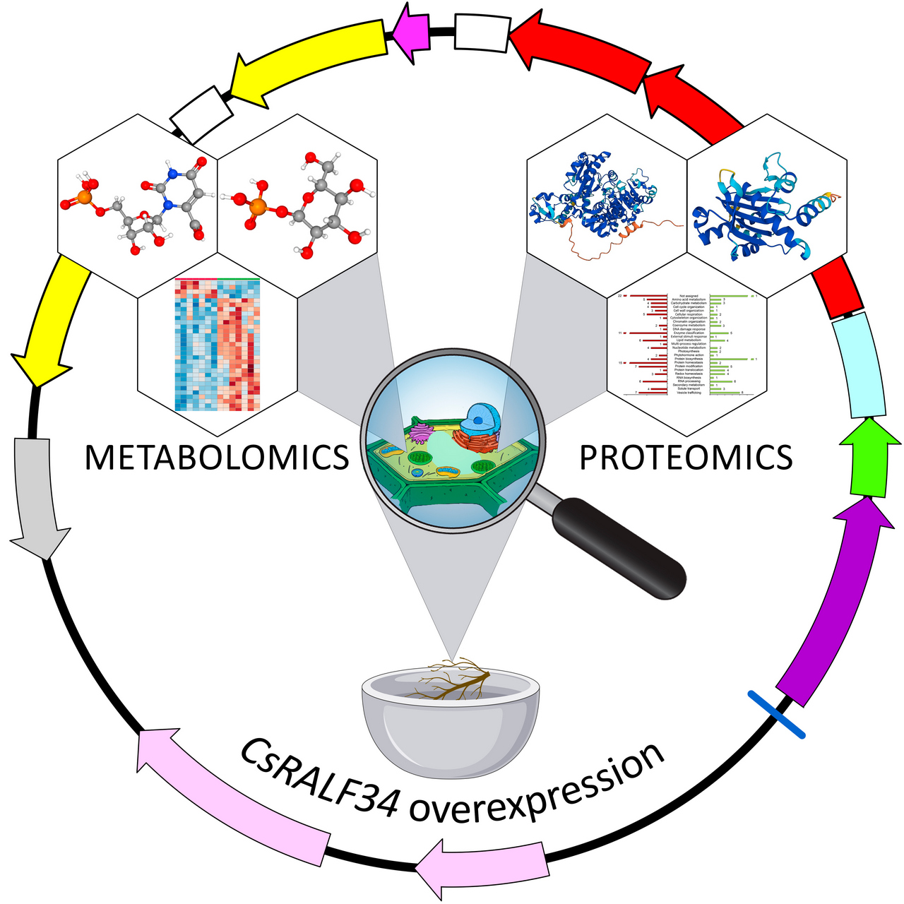 International journal of molecular sciences