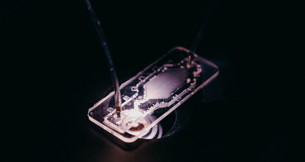 4_Чип для раннего обнаружения метастаз.jpg