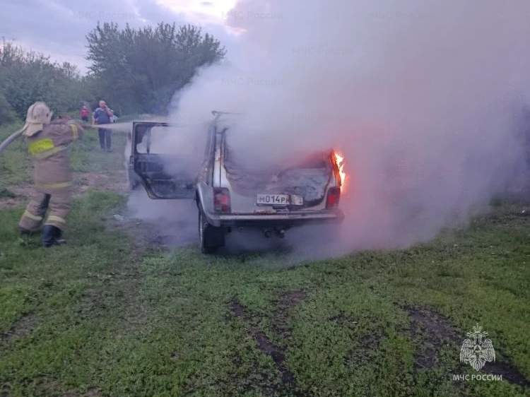 В Курской области за неделю произошло 20 пожаров