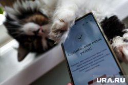 Популярность ДЭГа будет только расти